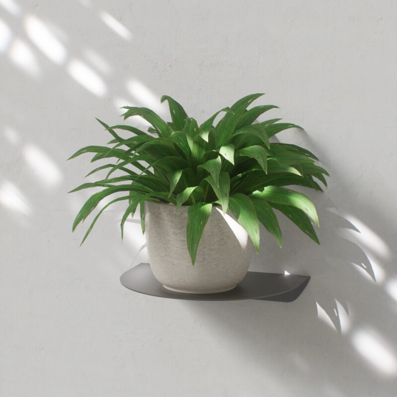 Aero Plant Shelf